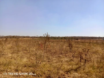 Farm & Agricultural Land