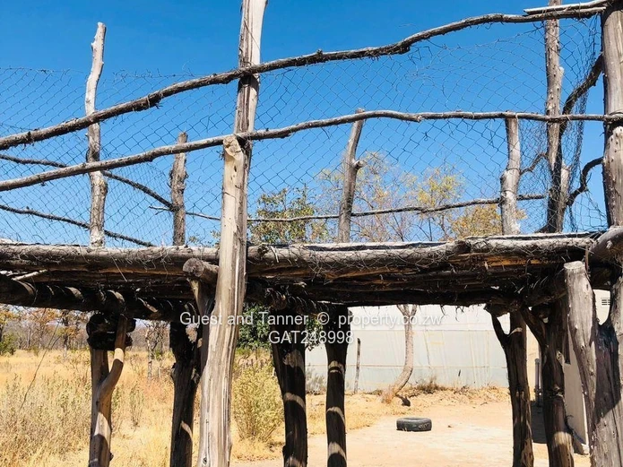 2 Prime Agricultural Plots for Sale – Ngezi Farming Area 