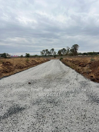 Investment Opportunity