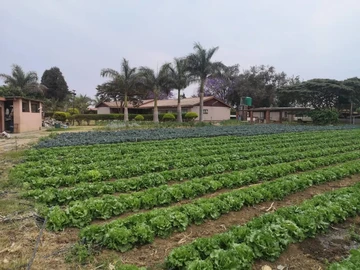 Farm & Agricultural Land