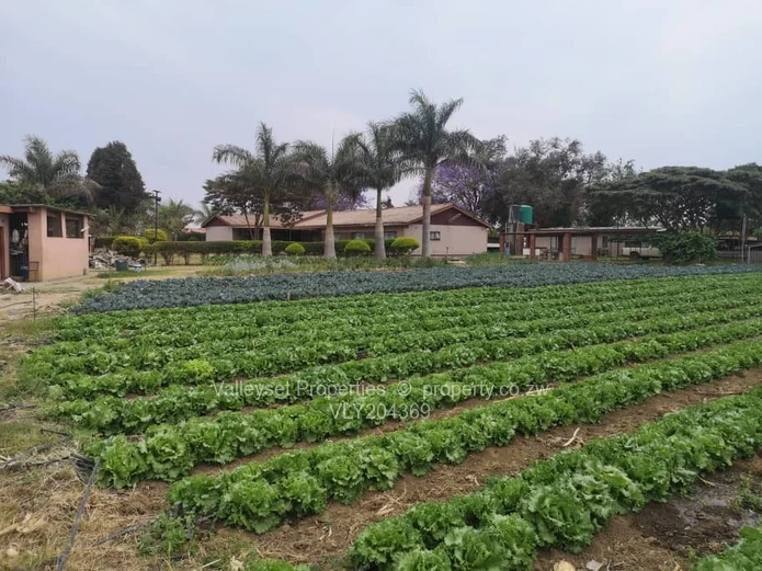 Established horticulture business and stunning home all in one located in  the Snake Park.