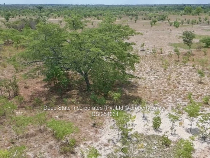 Beatrice farm for sale 