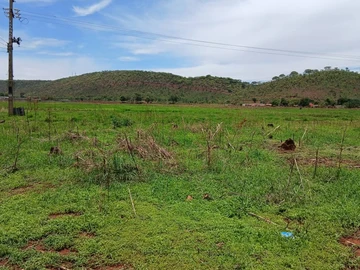 Farm & Agricultural Land