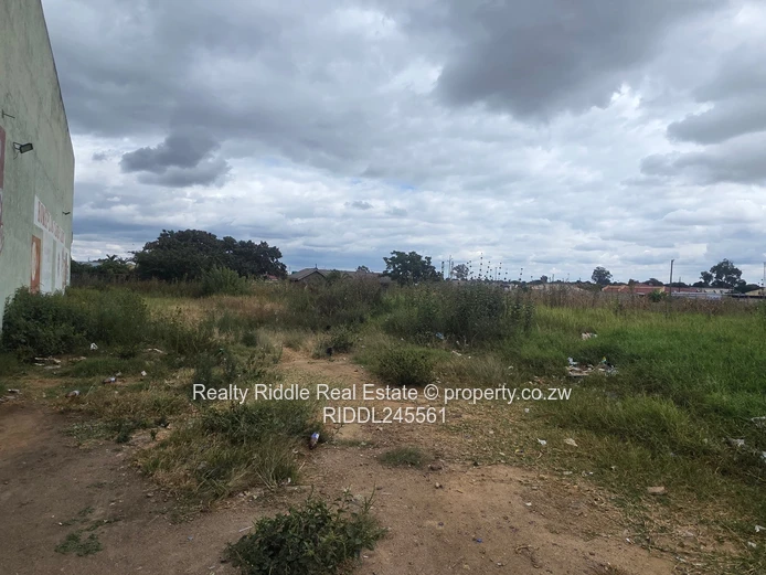 Investment Opportunity 