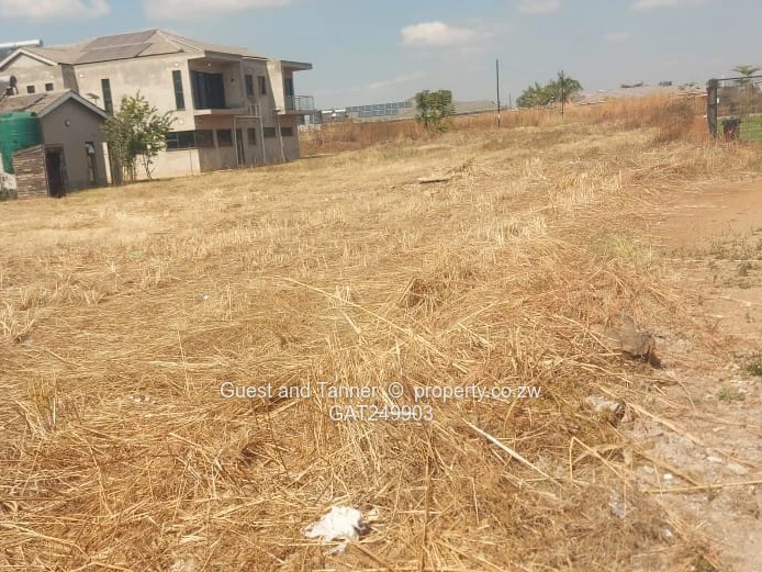 Fairview Residential Stand for Sale