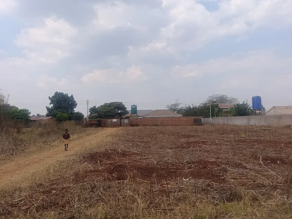 Stands & Residential Land