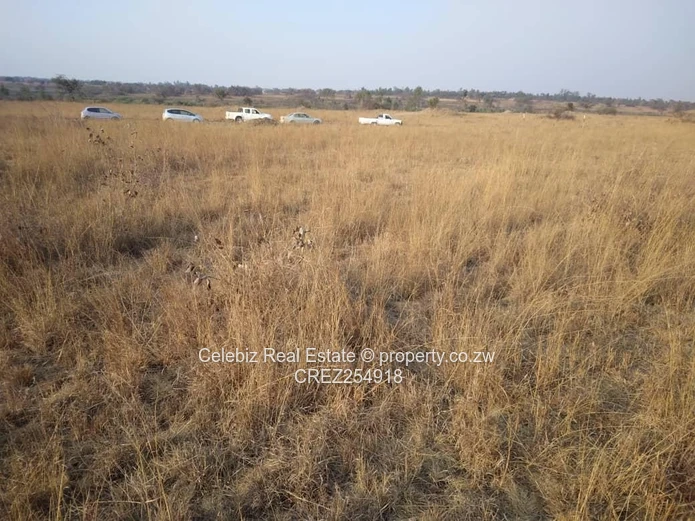 Penrose Nyabira stand for sale 