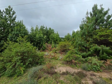 Commercial & Industrial Land