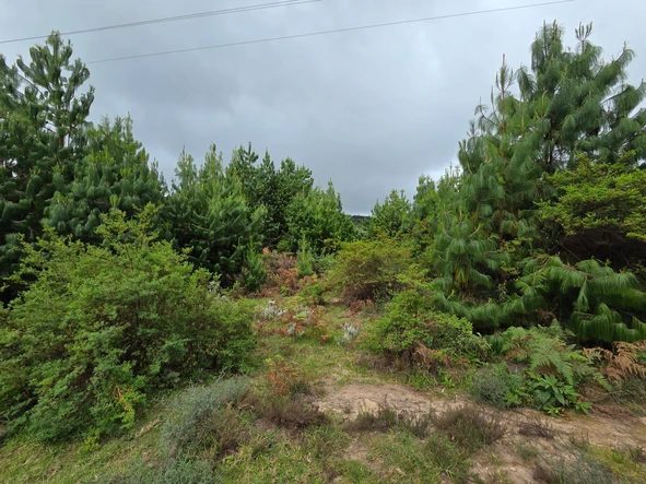 Commercial & Industrial Land