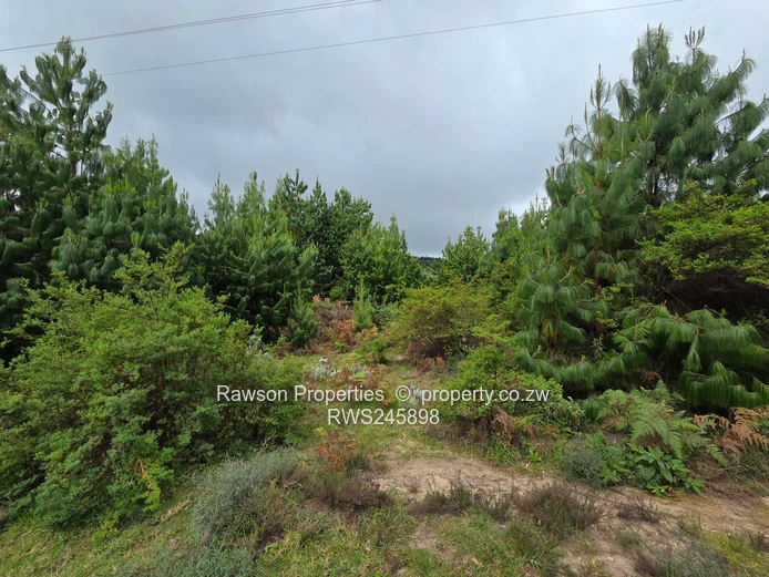 Prime 4.2ha Commercial Land with Panoramic Nyanga Views