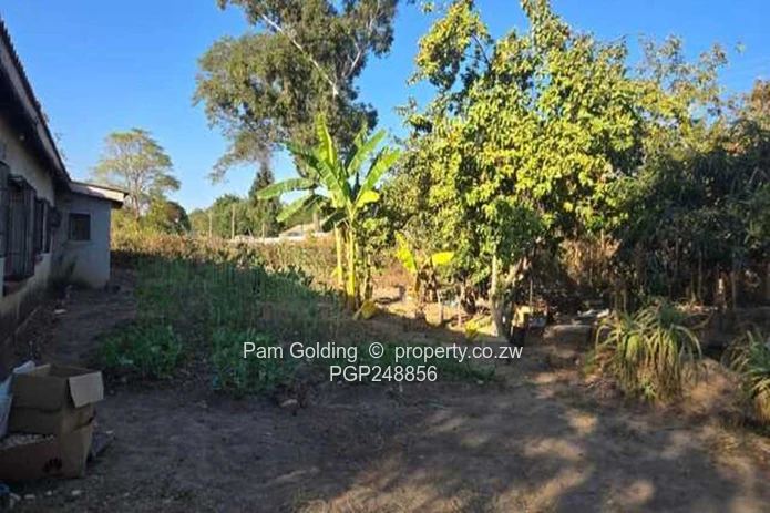 Treed 2800m² Prospect Stand — Subdivision Potential (Sole Mandate)