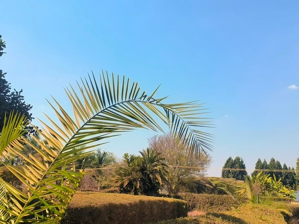 Land