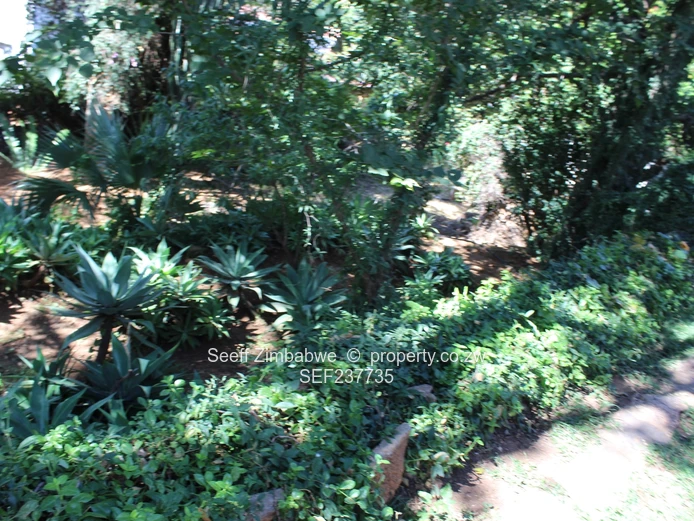 Executive Family Home