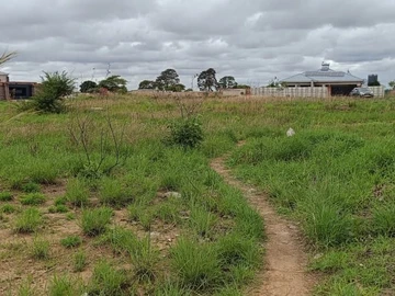 Stands & Residential Land