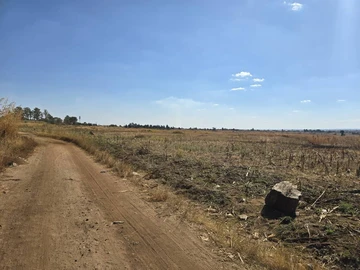 Stands & Residential Land