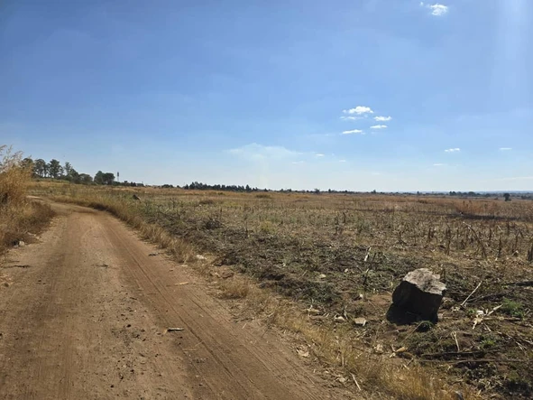 Stands & Residential Land