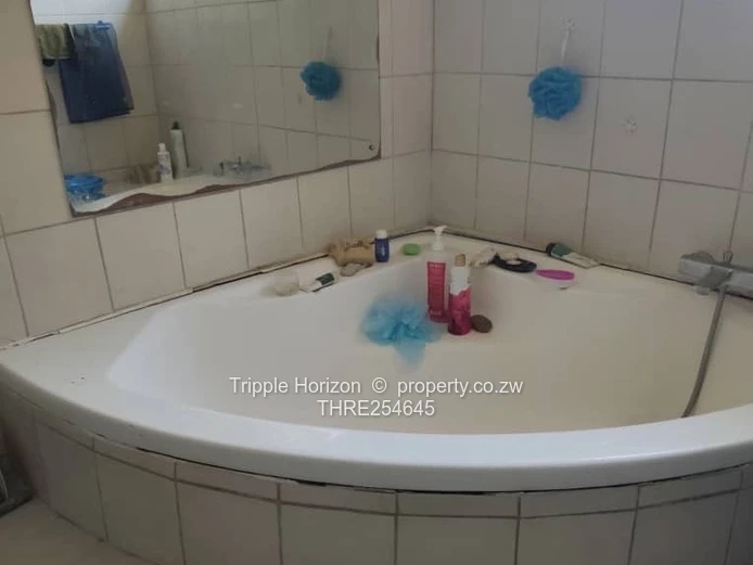 Great investment 