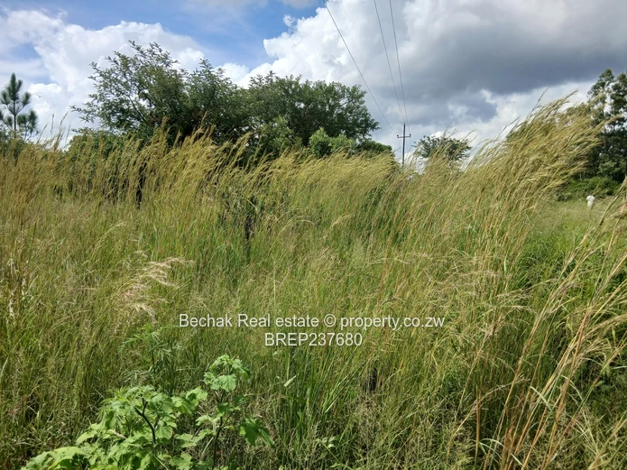 Stand for sale in Burnside 