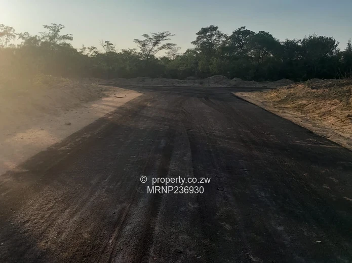 Plumtree Stands for sale