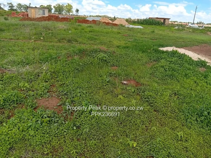 Tynwald Stand For Sale