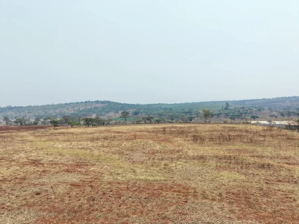 Farm & Agricultural Land