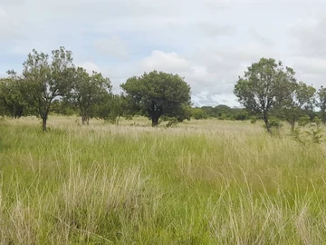 Farm & Agricultural Land