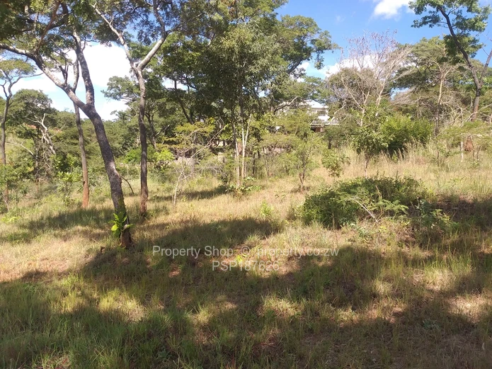 Gletwin Dreamer 1.4Ha