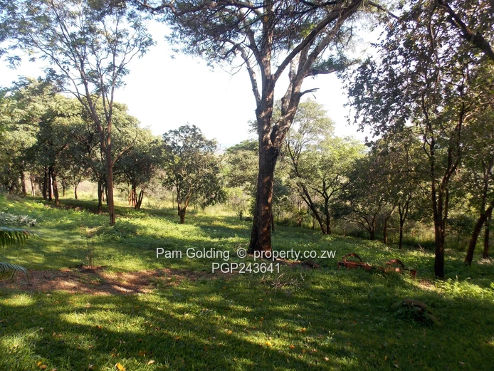 Peaceful Country Living Close to Chinoyi (Sole Mandate)