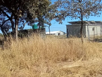 Farm & Agricultural Land