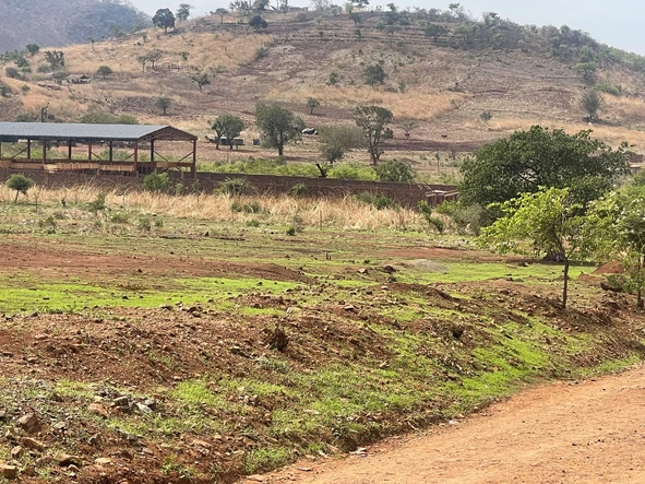 Commercial & Industrial Land