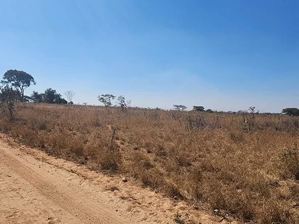 Farm & Agricultural Land