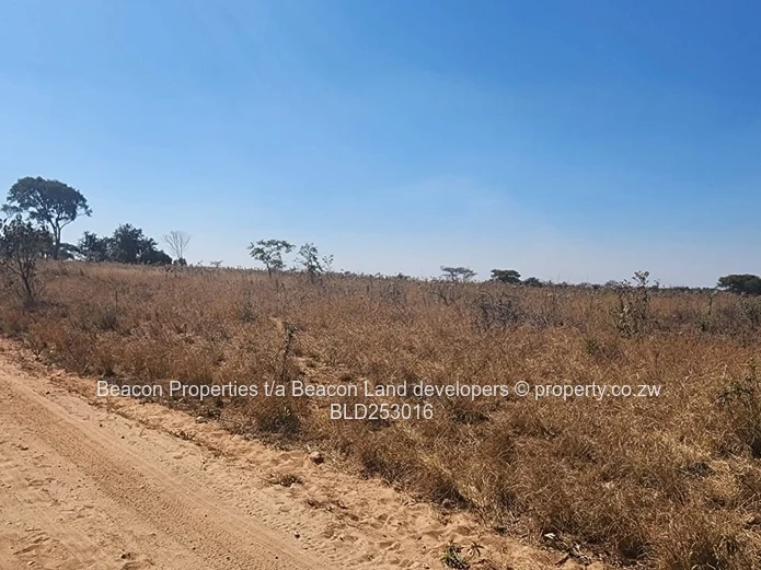 Prime Hurngwe Plots For Sale 