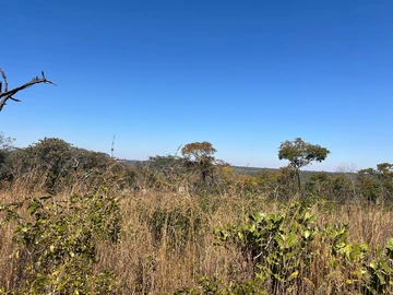 Farm & Agricultural Land