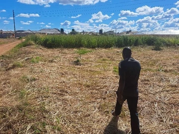 Stands & Residential Land