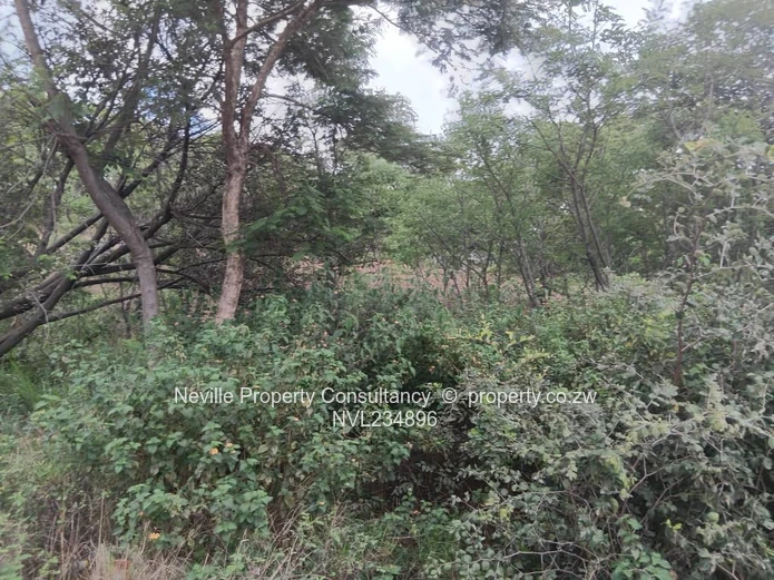 Glenlorne (Chishawasha)