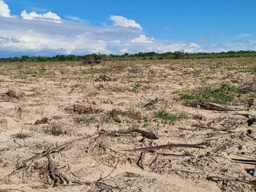 Farm & Agricultural Land