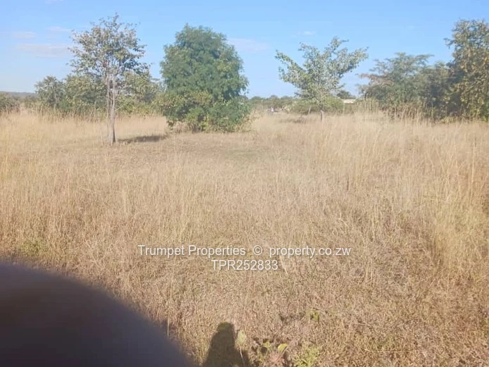 5ha Arable Grazing Farm in Goromonzi - Gravel Access (Sole Mandate)