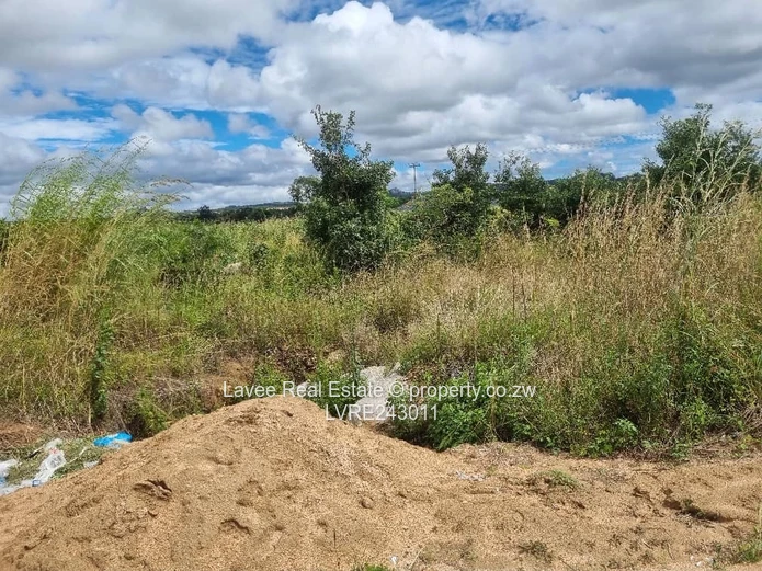 Rusape Undeveloped Lodge Site — 5,034 m² Green Plot (Sole Mandate)