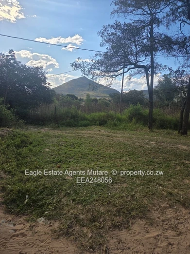 Fernvalley. Mutare