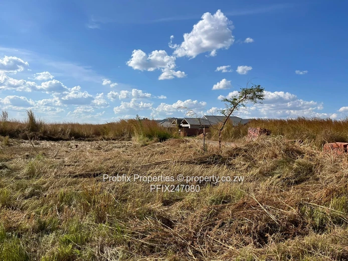 Fully serviced residential stands for sale in Haydon Park (Gated Community)