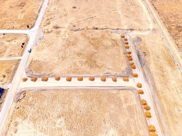 Stands & Residential Land