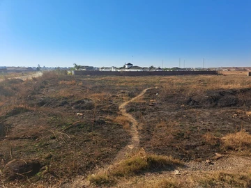 Stands & Residential Land