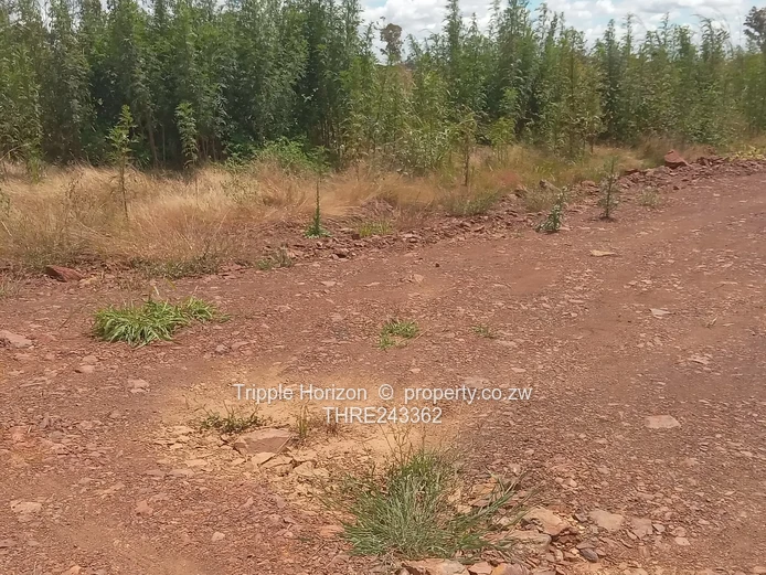 Fairview Westgate stand for sale 