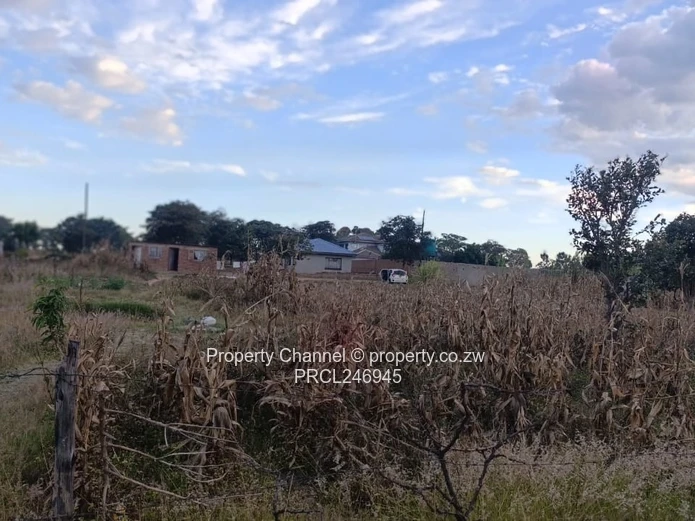 2000 m² Fenced Plot with Road Access in Whitecliff
