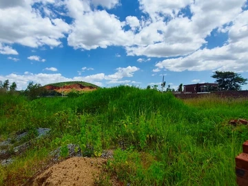 Stands & Residential Land