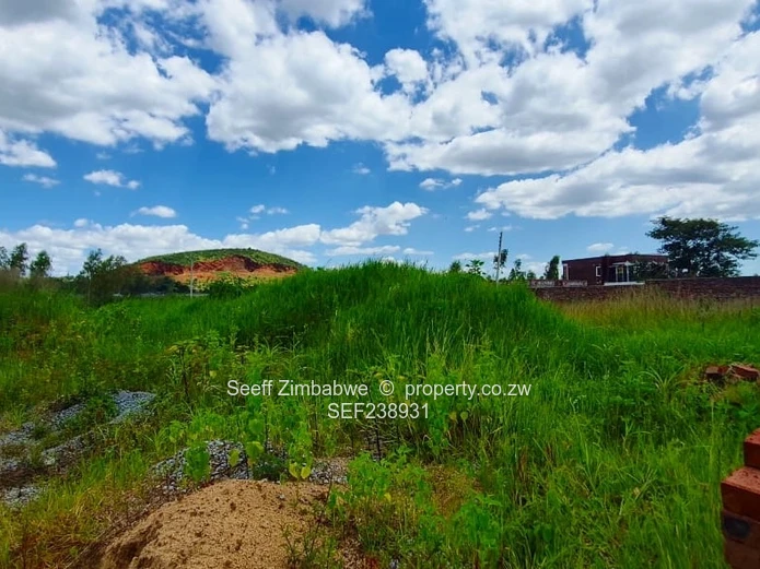 Prime 453m² Stand in Cold Comfort — Tarred Road & Services