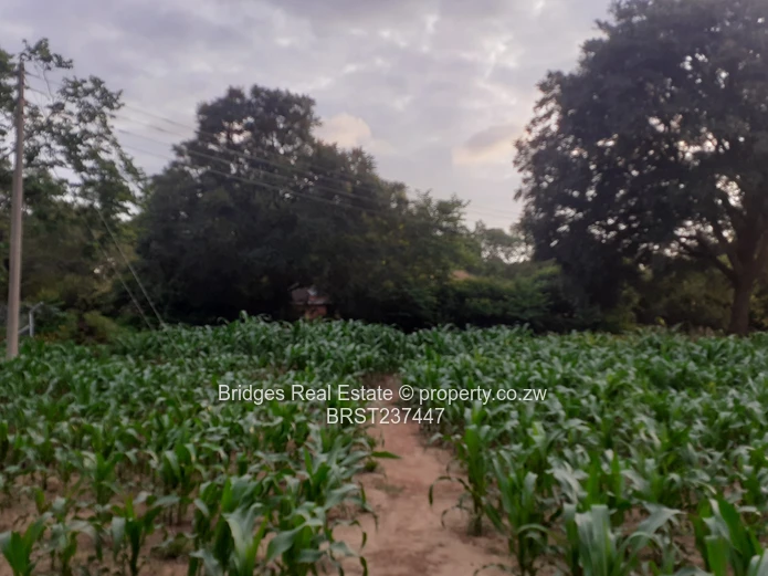 Residential infill stands with Title Deeds