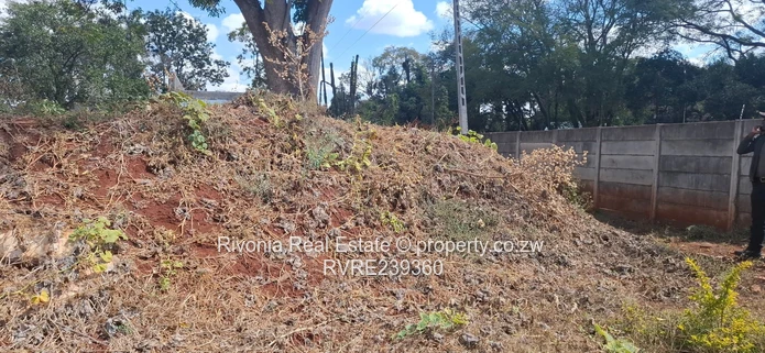 Borrowdale 8119sqm Ideal for cluster development 