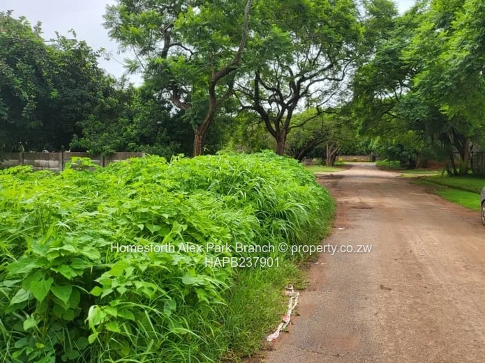 An investment opportunity...