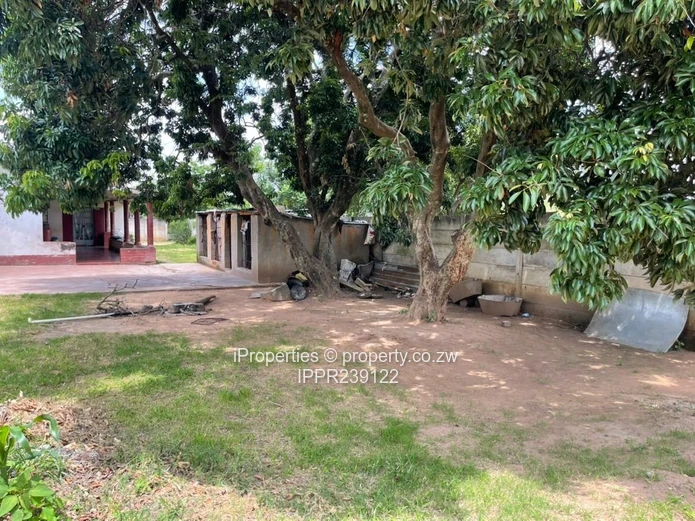 Investment  Property on 2,431sqm with Title Deeds
